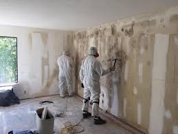 Why You Should Choose Our Mold Remediation Services in Glenpool, OK